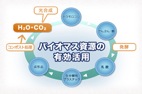 リ乳酸リサイクルリンク説明図