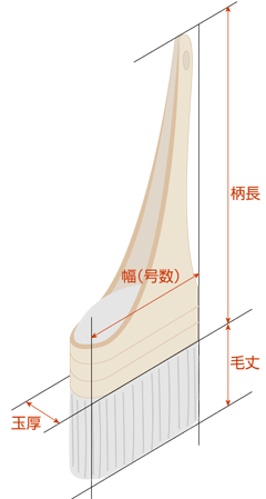 刷毛のサイズの見方