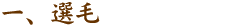 一、選毛