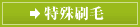 特殊刷毛