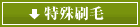 特殊刷毛